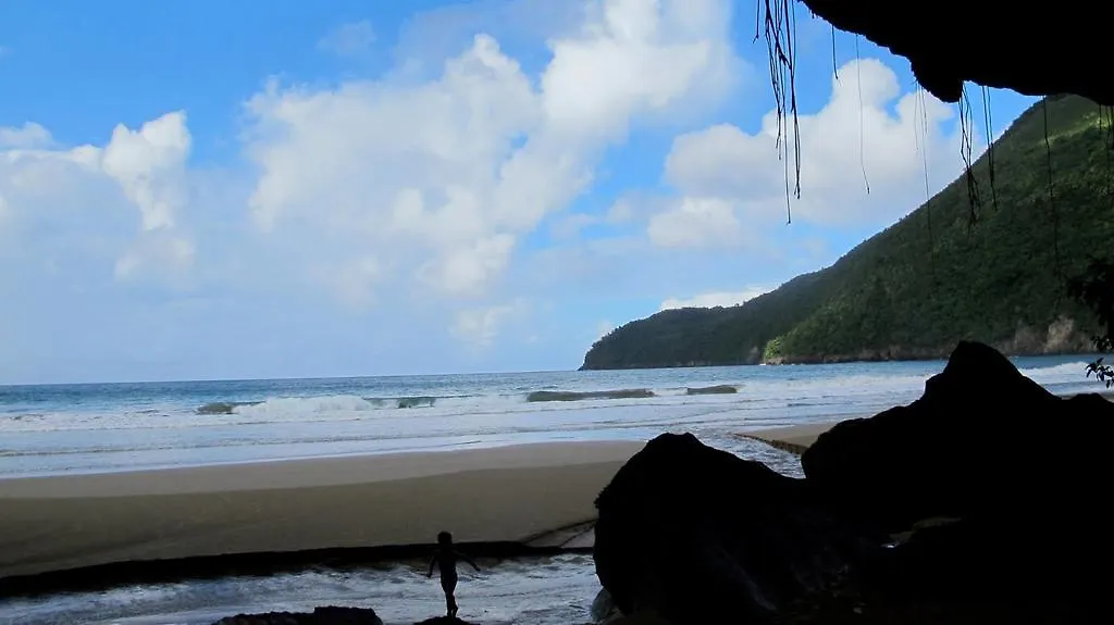 Lodge Dominican Tree House Village Santa Barbara De Samana