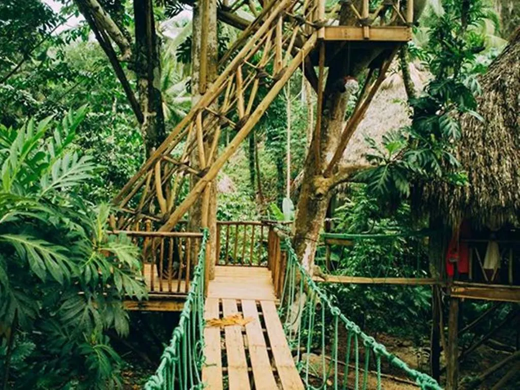 Dominican Tree House Village Santa Barbara De Samana 도미니카 공화국