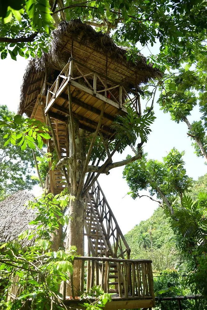 Dominican Tree House Village Santa Barbara De Samana 도미니카 공화국